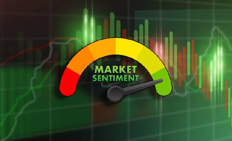 Understanding Vertex Trize A Deep Dive Understanding Vertex Trize A Deep Dive